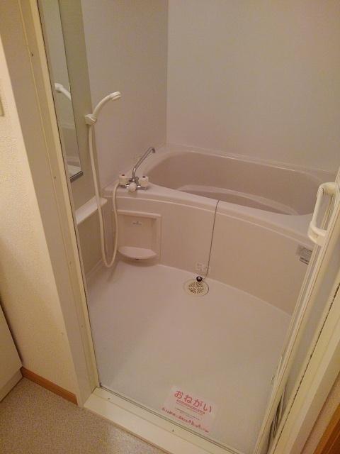 フレーシュ コリーヌ