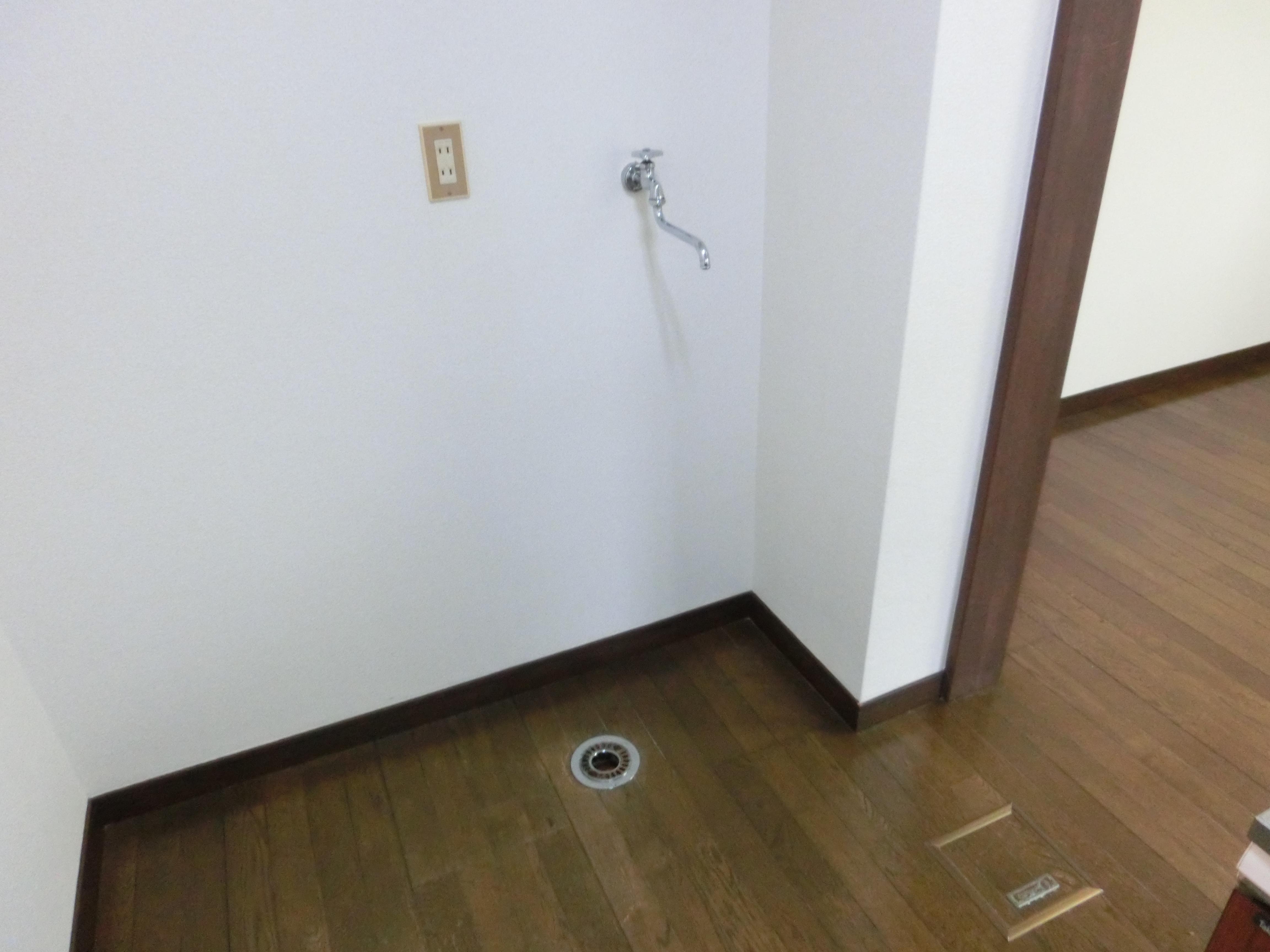 ★D-room★第七ドエル開洋