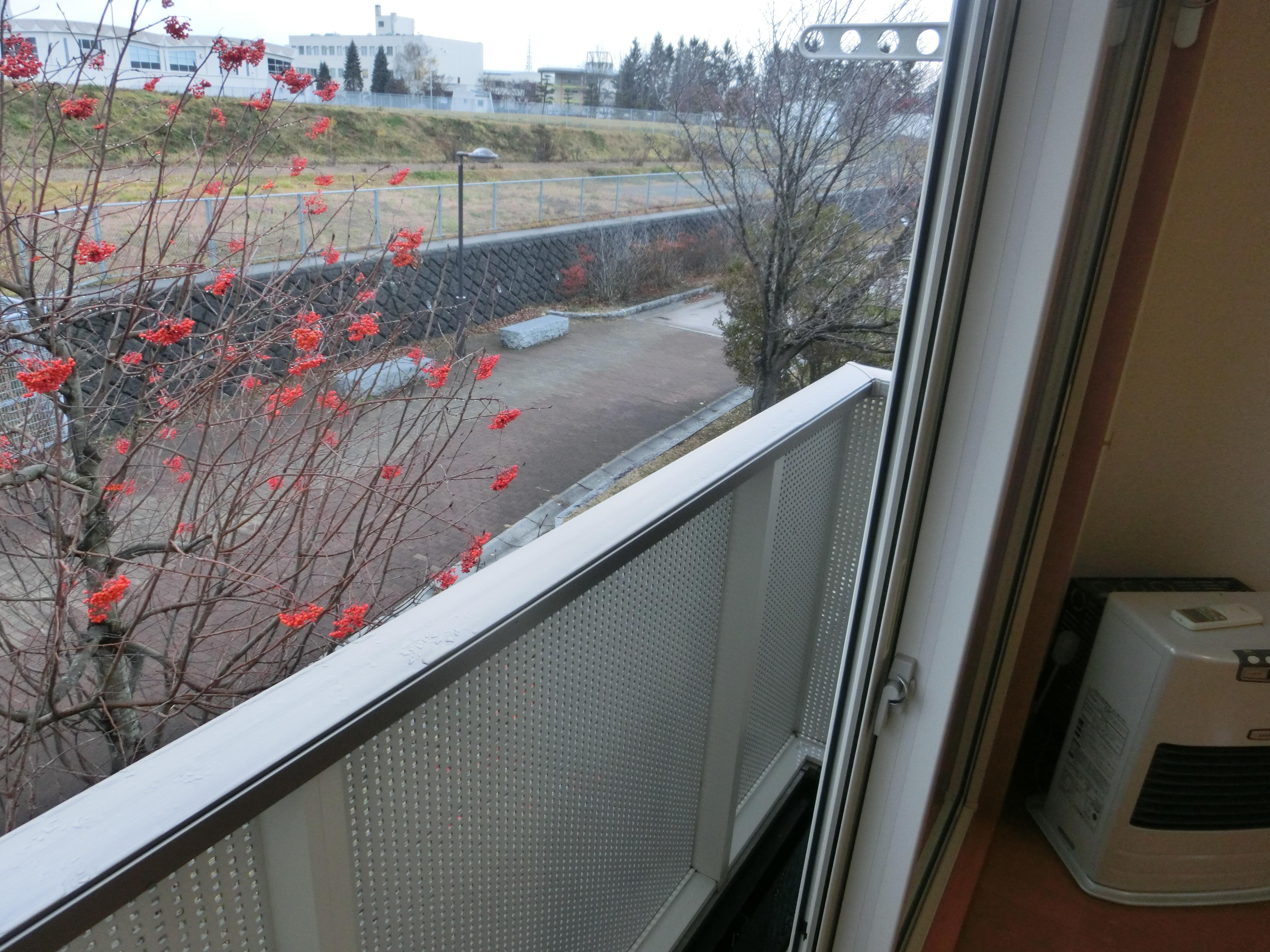 ★積水ハウス★インターネット無料（Wi-Fi対応）★シャーメゾングレース