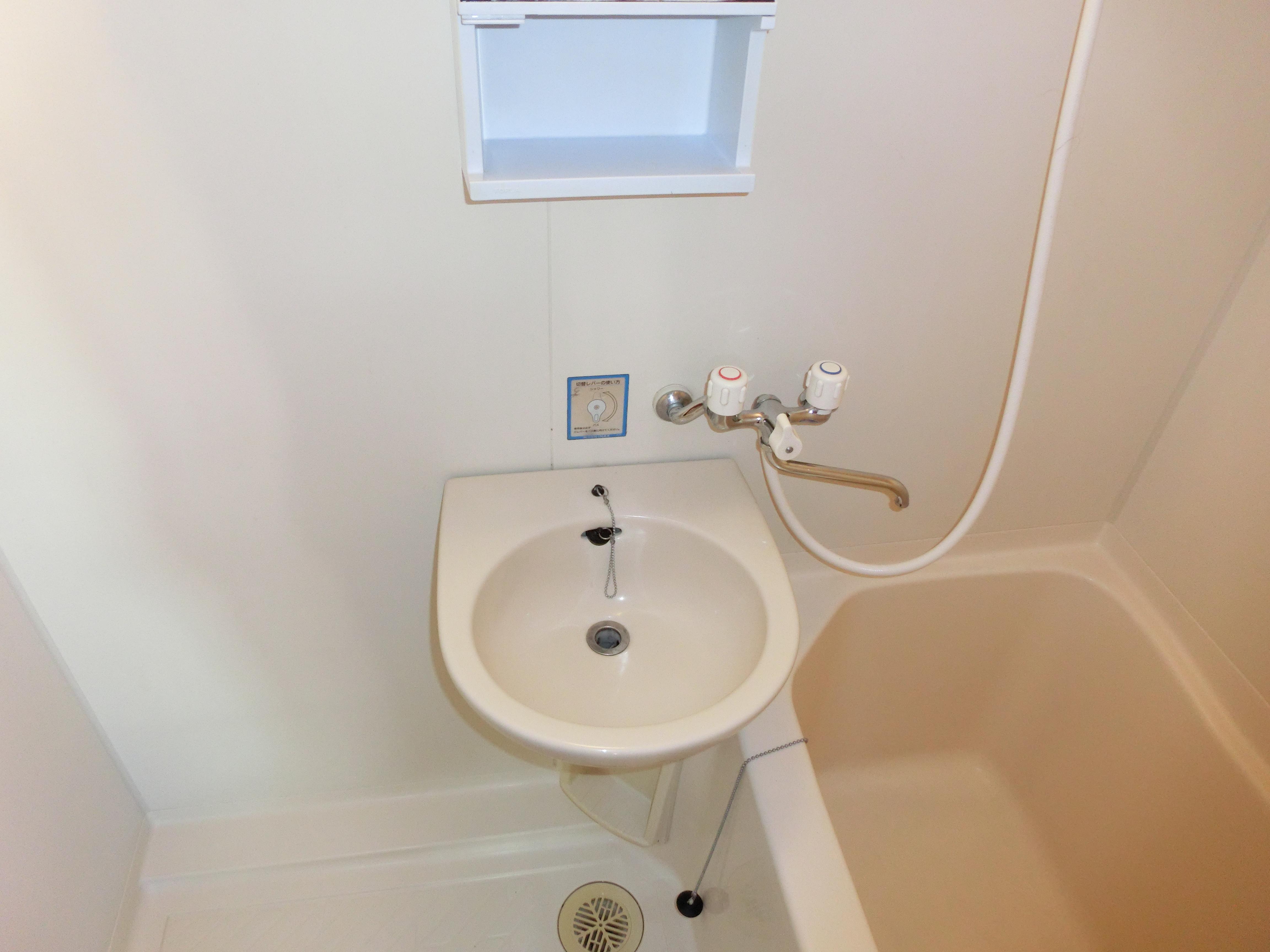 アマビーレパートⅡ